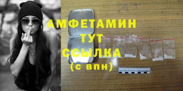 мдпв Гусь-Хрустальный