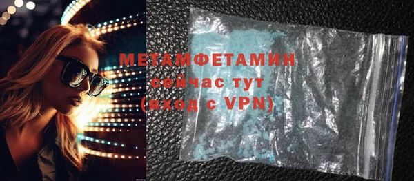 твердый Дмитровск