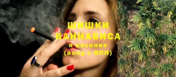 мдпв Гусь-Хрустальный
