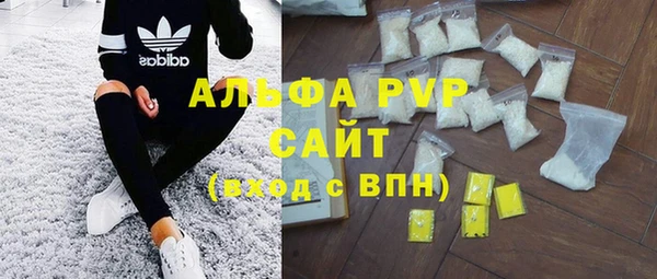 стафф Гусиноозёрск