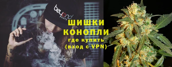мдпв Гусь-Хрустальный