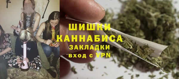 бошки Дмитров