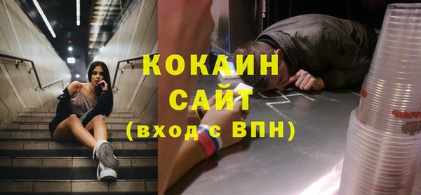 твердый Дмитровск