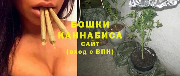 прущий лед Гусев